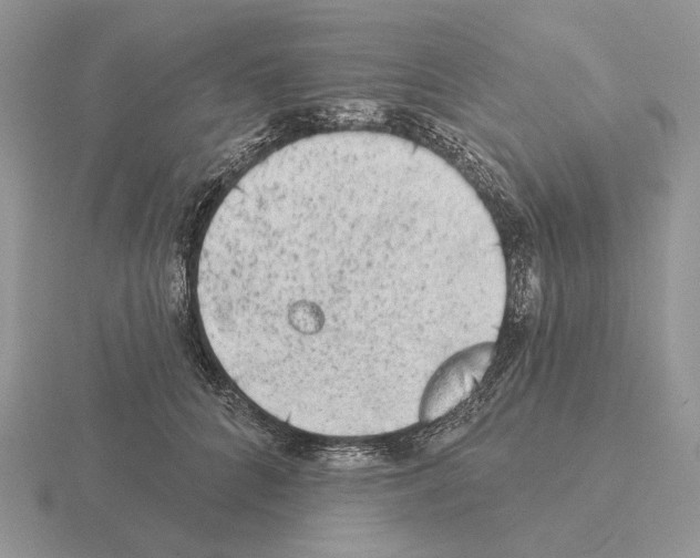 X0000115380704200912151439