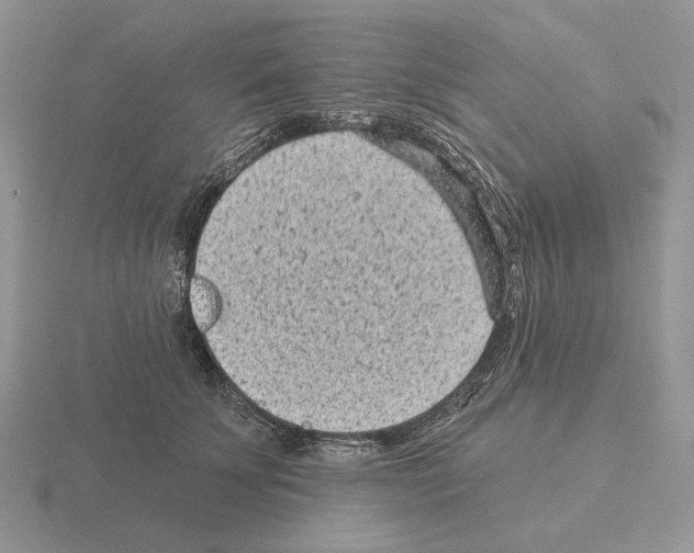 X0000115380707200912151439