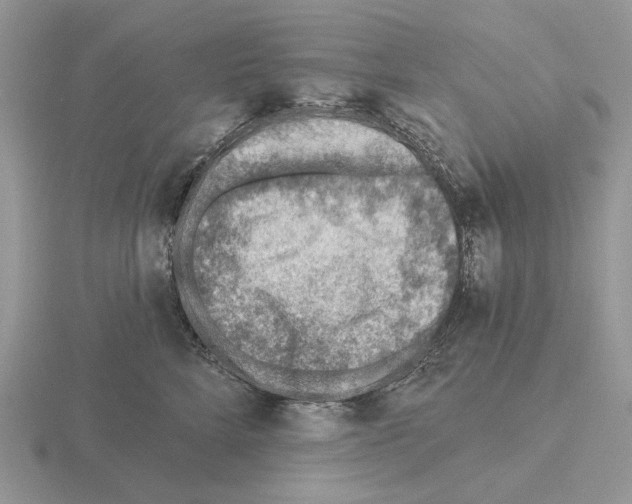 X0000115380712200912151439