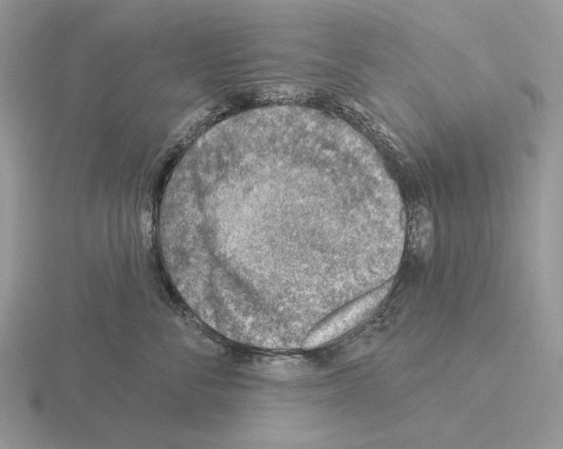 X0000115380716200912151439