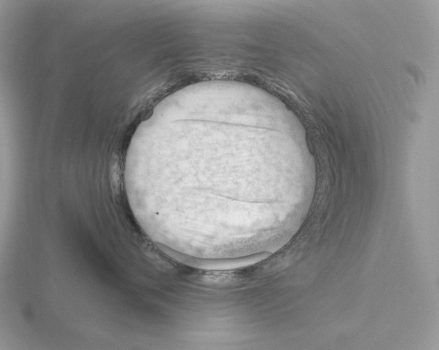 X0000115380720200912151439