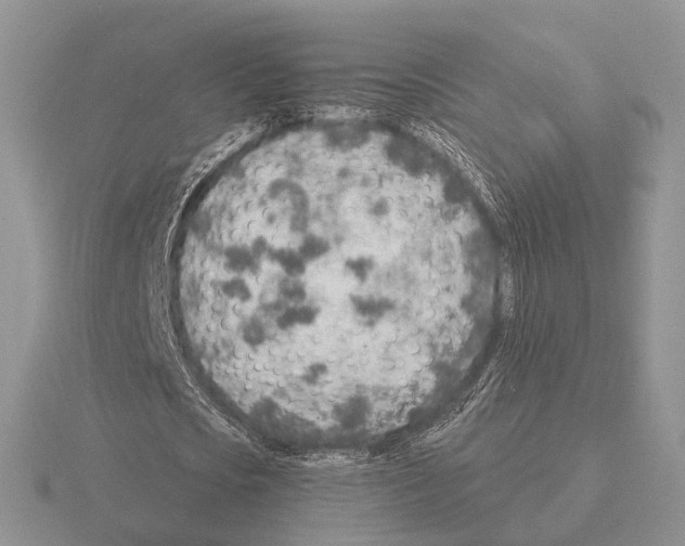 X0000115380721200912151438