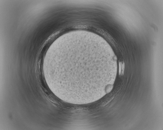 X0000115380723200912151439