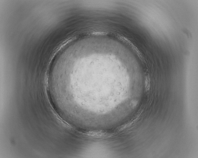 X0000115380725200912151439