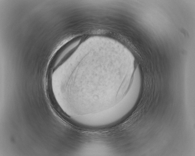 X0000115380726200912151439