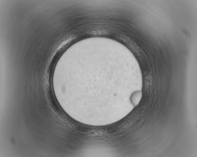 X0000115380727200912151439