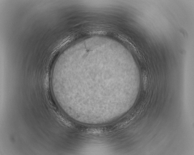 X0000115380729200912151439