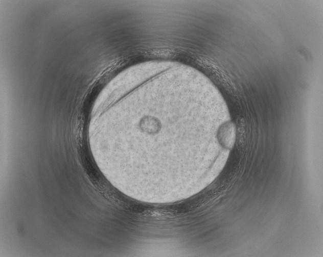 X0000115380739200912151439