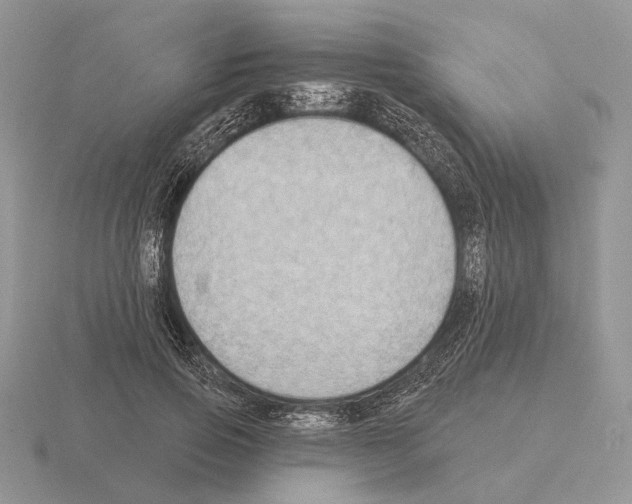 X0000115380741200912151439