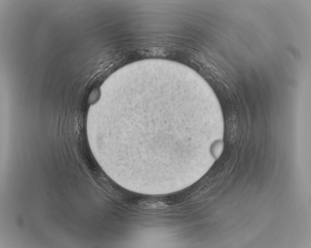 X0000115380747200912151439