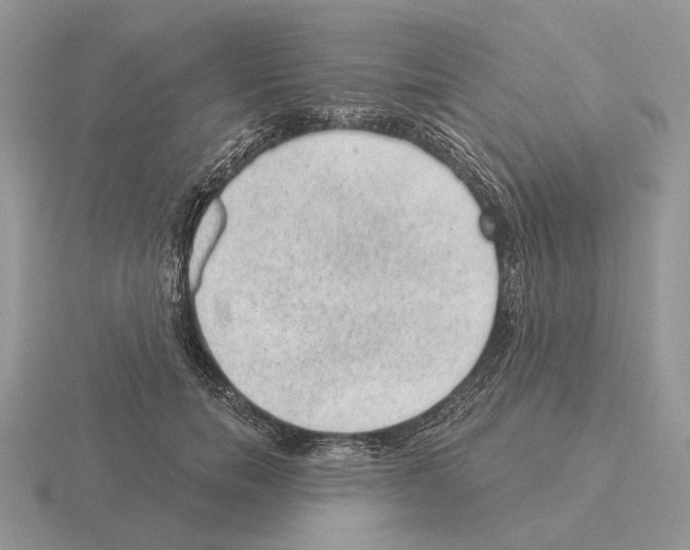 X0000115380750200912151439