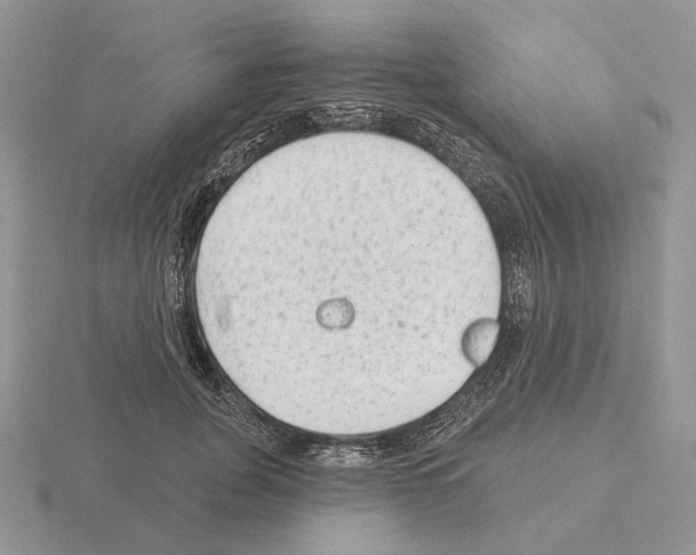 X0000115380751200912151439