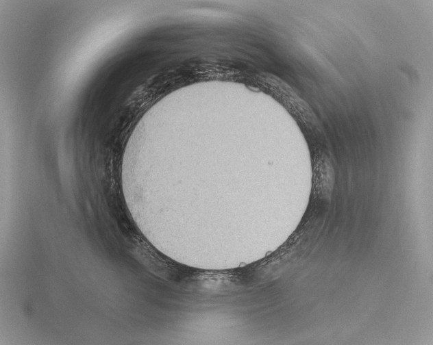 X0000115380762200912151439