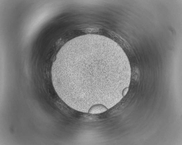 X0000115380763200912151439