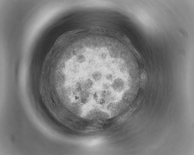 X0000115380765200912151439