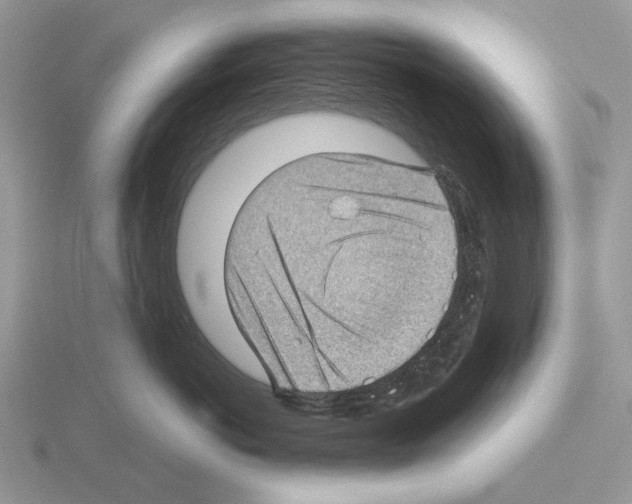 X0000115380766200912151439