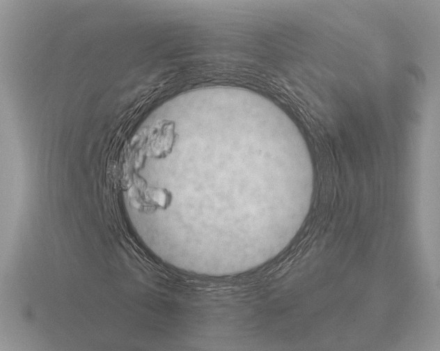 X0000115380769200912151438