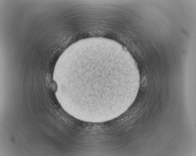 X0000115380772200912151438