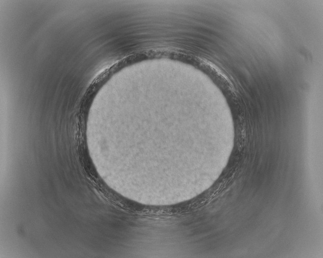 X0000115380775200912151438