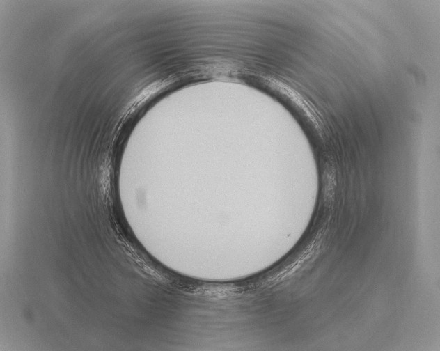 X0000115380778200912151438