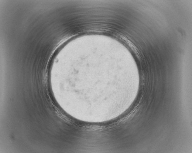 X0000115380779200912151438