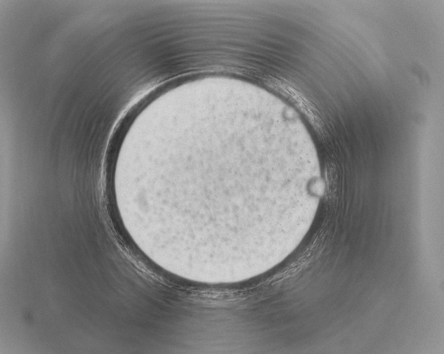 X0000115380780200912151438