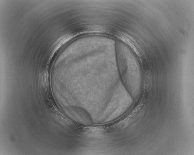 X0000115380781200912151438