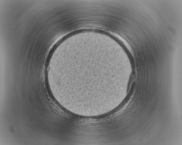 X0000115380783200912151438