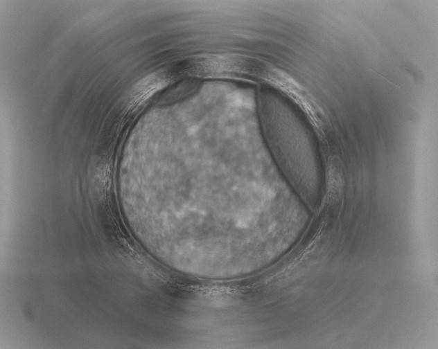 X0000115380785200912151438