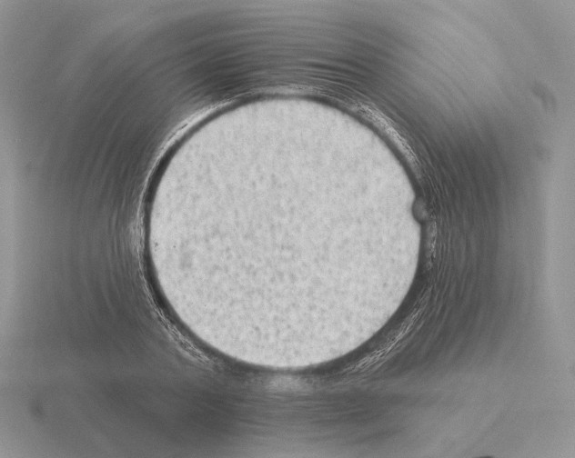 X0000115380787200912151438