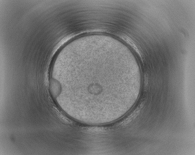 X0000115380789200912151438