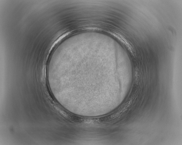 X0000115380790200912151438