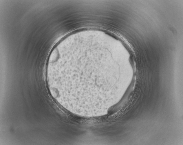 X0000115380791200912151438