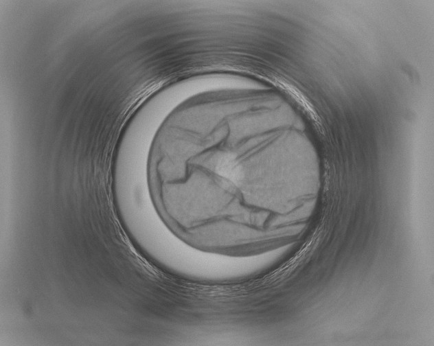 X0000115380793200912151438