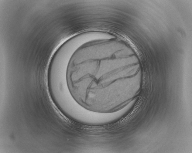 X0000115380795200912151438