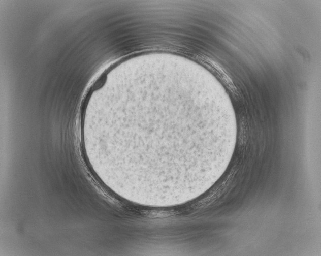 X0000115380796200912151438