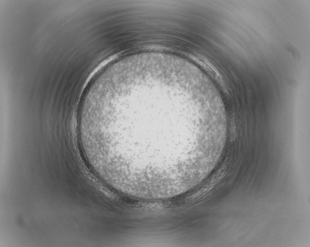 X0000115380798200912151438