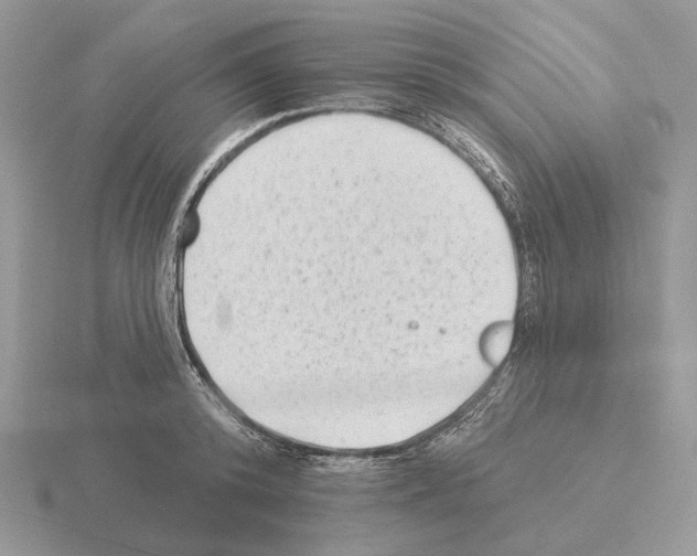 X0000115380800200912151438