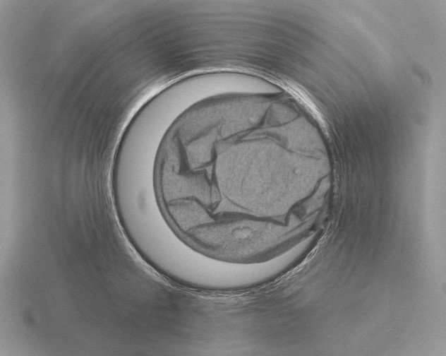 X0000115380805200912151438