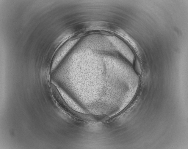 X0000115380809200912151438