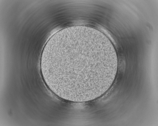 X0000115380810200912151438