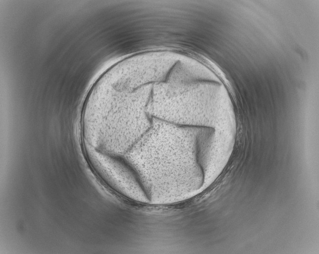 X0000115380811200912151438