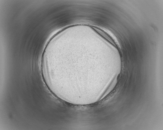 X0000115380815200912151438