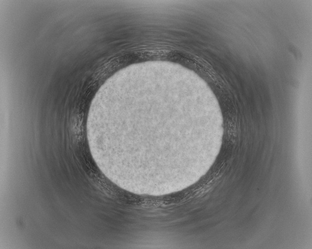 X0000115380818200912151437