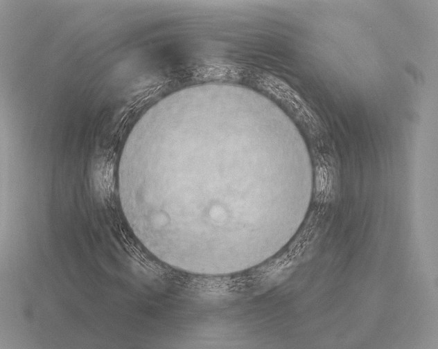 X0000115380820200912151437