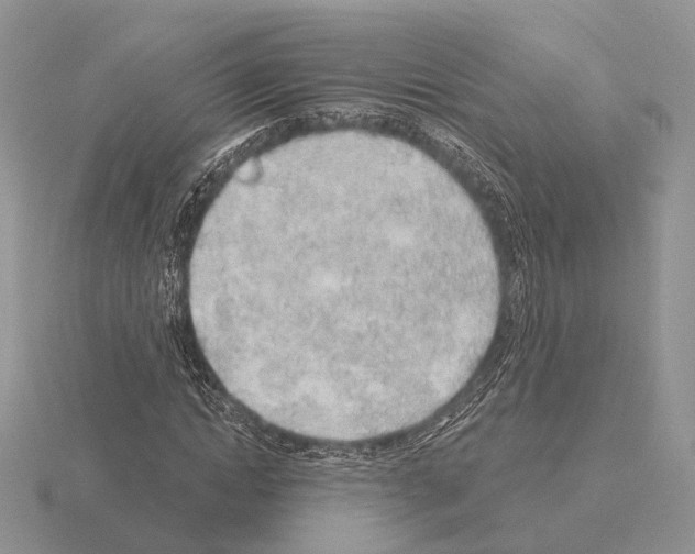 X0000115380822200912151437