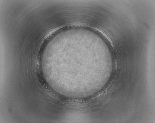 X0000115380823200912151437