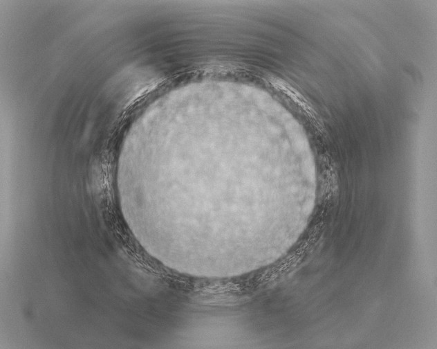 X0000115380824200912151437