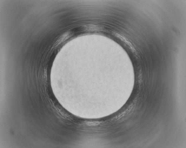 X0000115380825200912151437