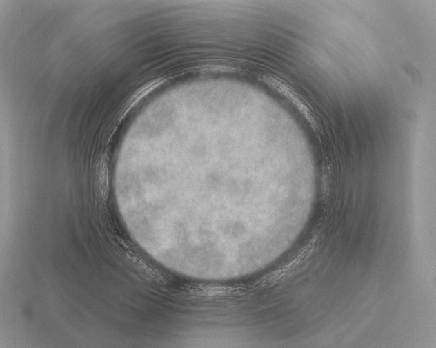 X0000115380829200912151437